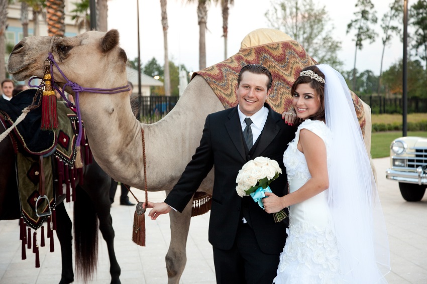 Egyptian wedding traditions